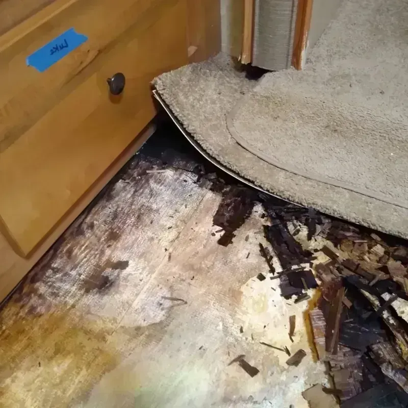 Best Wood Floor Water Damage Service in Desert Aire, WA